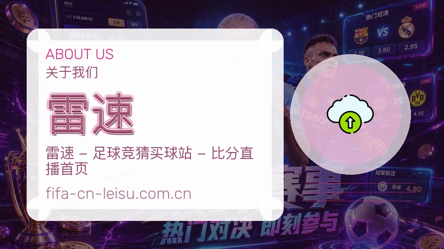 雷速服务说明